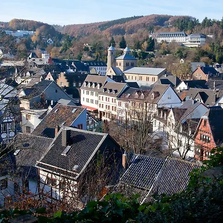 招待所 Eifelburg